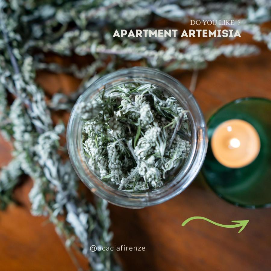 Acacia Firenze Apartments Artemisia-Angelica Zewnętrze zdjęcie